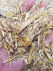 Premium Chopped Wheat <b>Straw</b> for Animal Feed 1-7cm Size 600kg Big <b>Bales</b> - Product Image 3