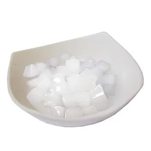 Gelée De Coco et De lait De Coco en poudre, gelée De fruits De Coco-Nata De Coco-