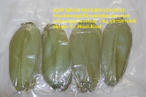 Feuilles de corossol séchées prêtes à être exportées dans un sac, supplément insipide pour la santé des adultes - Product Image 3