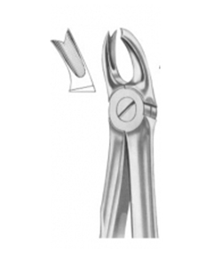 Extracting Forceps with Fitting Handle - Product Image 1