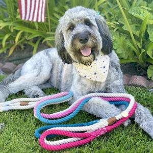 Handmade Color Full Cotton Rope Dog <b>Leash</b> Dog Waling Gift for Dog - Product Image 1