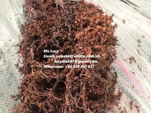 มอสทะเลสีม่วงอบแห้งในเวียดนาม/มอสทะเลไอริชแบบแห้งคุณภาพสูง/ดอกลิลลี่ MS - Product Image 6