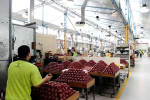 Pelota dura de grillo profesional, red - Product Image 6