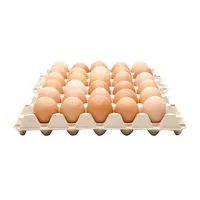 Uova di gallina fresche/uovo di gallina da cova massiccio/uova di gallina marroni e bianche in vendita