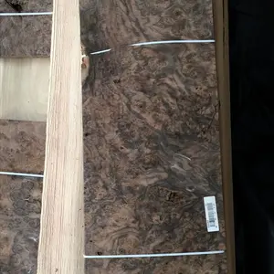 Black Walnut Burl Wood Veneer for Hotel Decoration and Furniture