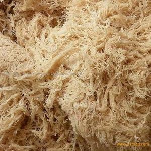 Algodón EUCHEUMA seco de alta calidad - Product Image 6