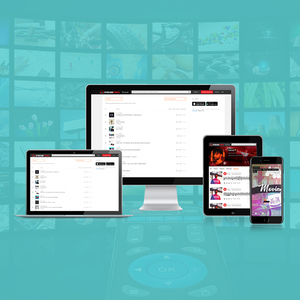 Video Streaming Website <b>Development</b> Company in India | Top Live Streaming Website & App <b>Development</b> Services by Webroot Infosoft - Product Image 2