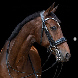 Frist HORSE Comfort BRIDLE Fantaisie Décoratif Anatomique Cheval Bride En Cuir Rembourré Équitation Anatomique Brides saisonnier - Product Image 2