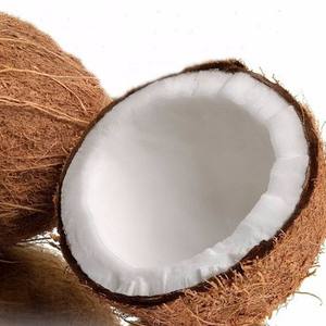 Coco seco en VIETNAM, alta calidad - Product Image 4