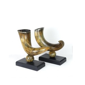 Cuerno decorativo de búhos, bocina natural real de diferente tamaño, último diseño, vajilla para el hogar, gran oferta - Product Image 4