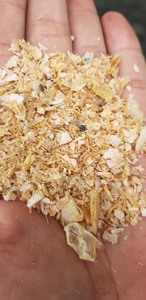 เปลือกกุ้งผง/เปลือกกุ้งแห้งสำหรับอาหาร - Product Image 3