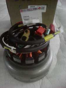 MAGNETO ASSY ES N3060340 Pièces automobiles pour moto TVS - Product Image 2