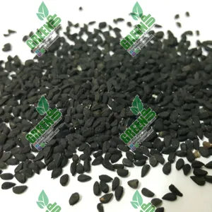 Nigella sementes cor preta alta qualidade, conteúdo de óleo frescos, nigella sativa