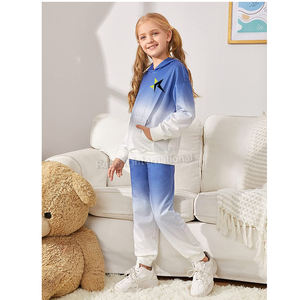 Sudaderas con logotipo personalizado para niños y niñas, ropa deportiva para trotar, conjuntos de Sudadera con capucha para niños, chándal de jersey liso - Product Image 6