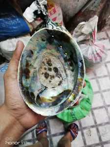 ที่กำหนดเองทำปุ่มเชลล์สำหรับศิลปะและงานฝีมือ,Scrapbooking,นักออกแบบเครื่องประดับ,งานฝีมือเด็ก - Product Image 6