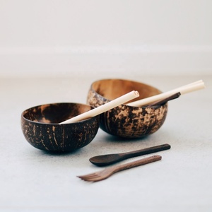 En gros de Haute Qualité Le Prix Concurrentiel BOL DE NOIX DE COCO - Product Image 6