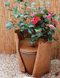 กระถางปลูกต้นมะพร้าวใยมะพร้าวแบบเส้นใยกลมสีน้ำตาล,กระถางปลูกต้นไม้สำหรับตกแต่งระเบียงจากเวียดนาม - Product Image 5