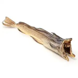 노르웨이에서 말린 Stockfish / Stockfish 대구