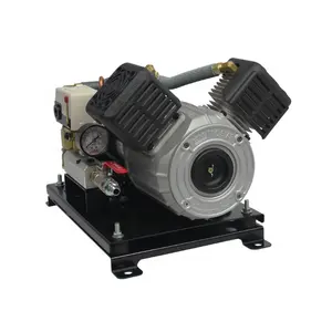 12V DC Weatherproof High Efficiency Long Duty Cycle Oil Free Professional Air Brake Mini Onboard Twin Piston Air Compressor Pump