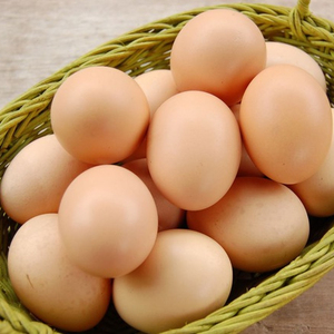 Fresh Chicken Table <b>Eggs</b>-Fertilized Hatching <b>Eggs</b>, White and Brown Broiler Chicken <b>Eggs</b> - Product Image 2
