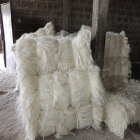 Best Price Premium Eco-Friendly Sisal Natural Wool Fiber Chemical-Resistant Anti-Bacteria White 110-130cm Length Raw Spinning