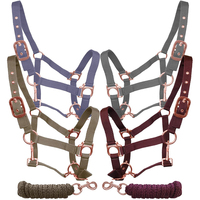 Ensemble de collier de tête et de longe pour cheval en nylon réglable et coloré à prix très bas, couleur rose, avec ferrures en laiton massif