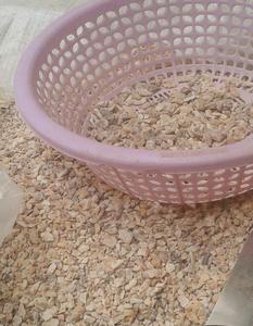 Fournisseur de premier plan, résine de benjoin du Siam de haute qualité pour huile essentielle/gomme de benjoin, prix bas, origine Vietnam/Shyn Tran - Product Image 2