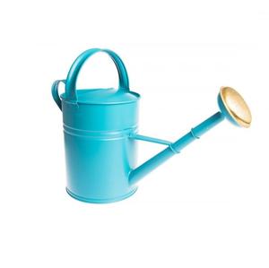 ผู้ผลิตและผู้ค้าส่งน้ำโลหะสามารถมาใหม่ราคาไม่แพงน้ำสามารถคลาสสิกสไตล์อินเดียรอบบัวรดน้ำ - Product Image 5