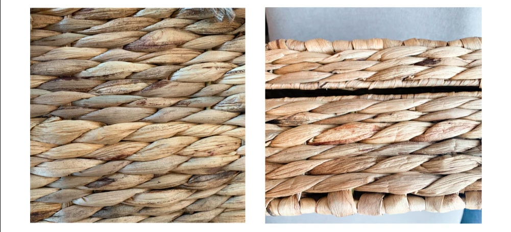 Natural Water Hyacinth