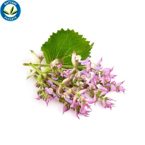 Katyani-aceite de salvia orgánico y Natural para masaje y SPA, producto nuevo, 100% - Product Image 4