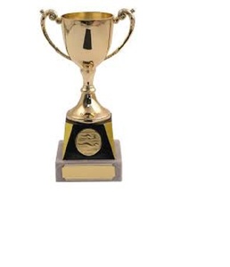 Premio de trofeo de gran tamaño personalizado, para el campeonato de fútbol, Grillo, impresión con Logo de Metal, impresión uv, 34648 - Product Image 3