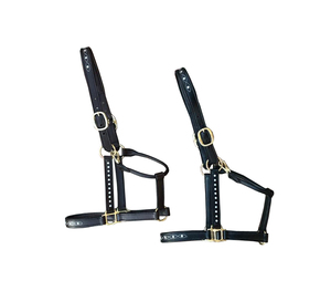 Licol en cuir de cheval de selle anglais équin Primo avec boucles de fer modèle P-LH-9900 - Product Image 3