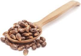 Compre Aceite de Ricino (Ricinus Communis) Prensado en Frío, Certificado GMP, Precios al por Mayor de la India - Product Image 2