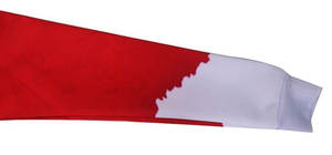 3D Sublimation Print Sweatshirt Women Men Jumper Outfits Hoodies Fashion Hip Hop Sweatershirts Large Size - Product Image 5