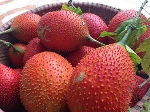 ธรรมชาติ GAC น้ำมันผลไม้สารสกัดจากเวียดนามที่ดีสำหรับสุขภาพ // JOLENE + 84336089155 - Product Image 2