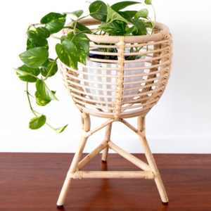 Soporte de Mimbre para Macetas y Plantas - Product Image 4