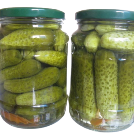 Pickled Peeled Baby Cucumber (Gherkins Cornichon) in Salt Canned in Drum Packaging by Shyn Tran