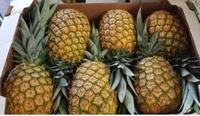 Hoge Kwaliteit Verse Ananas/Ingeblikte Ananas Export Naar Eu, Usa-Groothandel Voor Gedroogde Ananas-Whatsap 0084 989 322 607
