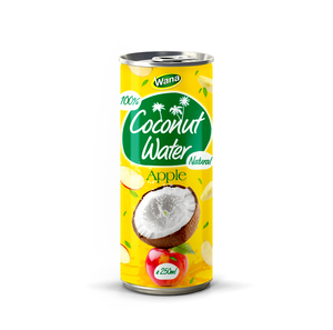 Meilleur Vietnam 250ml Alu Can Eau de coco avec banane Mangue Pomme Ananas Goyave Kiwi Aloe Vera Arômes-Purée de jus de fruits - Product Image 3