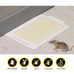 Piège à colle <span class=keywords><strong>collante</strong></span> <span class=keywords><strong>souris</strong></span> Rat papier maison <span class=keywords><strong>souris</strong></span> et Rat colle piège <span class=keywords><strong>souris</strong></span> colle piège feuille - Product Image 6
