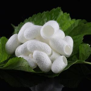 Hilo de seda Mulberry puro 100% teñido fibra Mulberry para el cuidado de la piel facial - Product Image 4