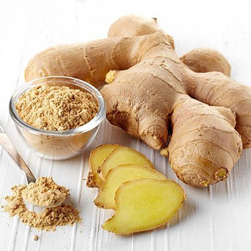 Новый Урожай свежего имбиря для продажи по надежной цене