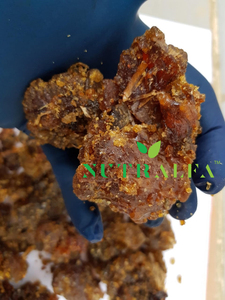 Gum Guggul Pure Grade for Extract - High Guggalsterones E & Z Count - Product Image 3