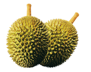 Frutas congeladas enteras, fabricantes de Malasia, proveedor Durian congelado - Product Image 1