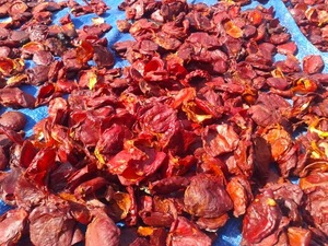 บริสุทธิ์ Gac ผลไม้ผงในกลุ่มที่มีขายส่ง - Product Image 5