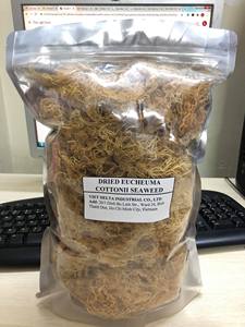 PREMIUM GOLDEN <b>DRIED</b> SEA <b>MOSS</b> 100% NATURAL IRISH <b>MOSS</b> FOR WHOLESALE - Product Image 4