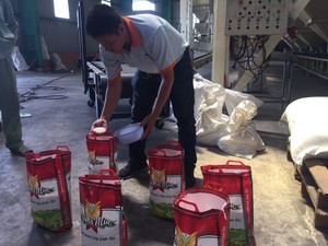 Arroz Blanco Jazmín de Vietnam, Grano Largo, Textura Dura, de la Molino Vilaconic, Empacado en 25/50 kg, Alimento Seco, Contacto +84398885178 - Product Image 5