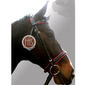 Juego de brida de caballo de charol acolchado de PVC de color de alta calidad, equipo deportivo ecuestre, nariz, cejas, carreras al aire libre - Product Image 3