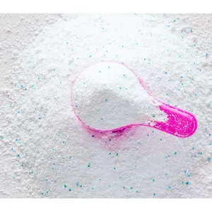 Hot Selling Wholesale Laundry Cleaning Detergent Liquid/Powder for Sale