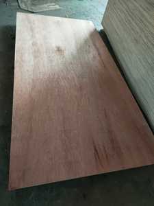 Bintangor ไม้อัดเบิร์ช4x8ทนทานต่อการค้ากาว WP หนา11.5มม. E0ตรฐานสำหรับเฟอร์นิเจอร์โรงแรมและรับประกัน1ปี - Product Image 5